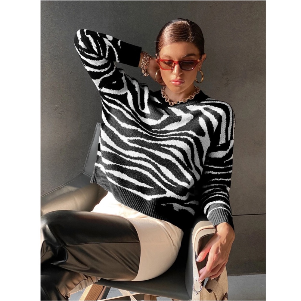 Black & White Zebra Stripe Pullover Sweater Round Neck Long Sleeve Drop Shoulder - Picture 7 of 8